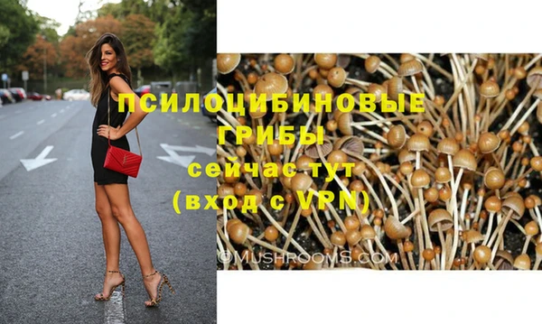 мескалин Нефтегорск