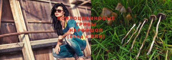 тгк Алексеевка