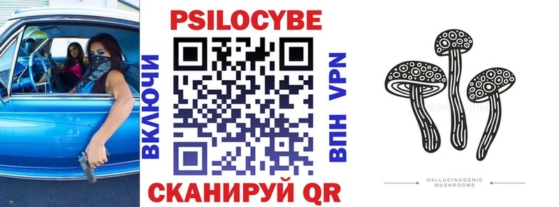 KRAKEN как зайти  Лукоянов  Галлюциногенные грибы Psilocybine cubensis 